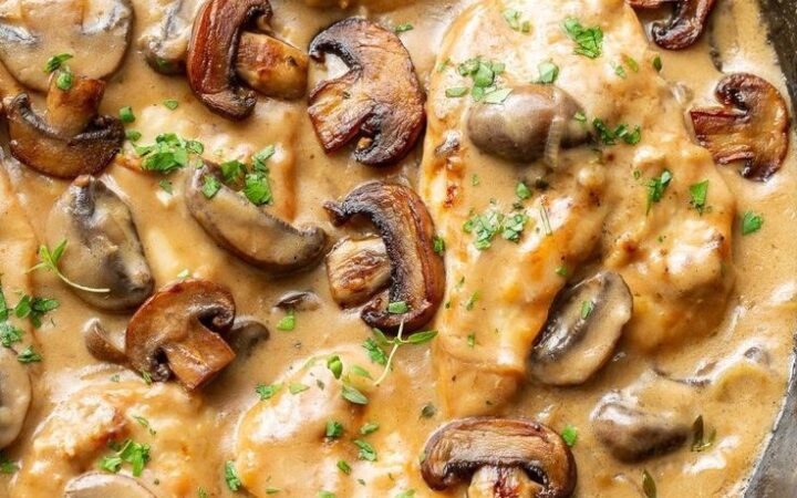 mushroom wine sauce chicken