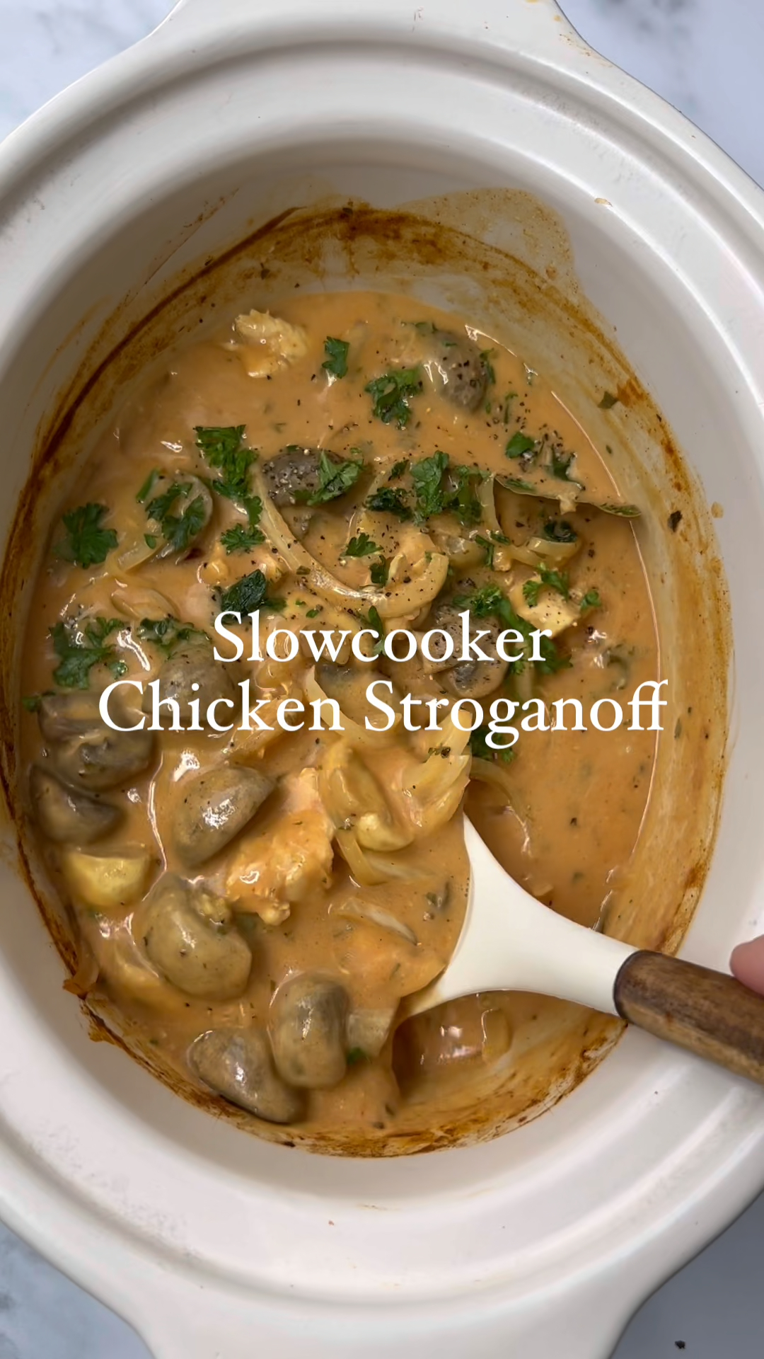Cozy Chicken and Dumplings