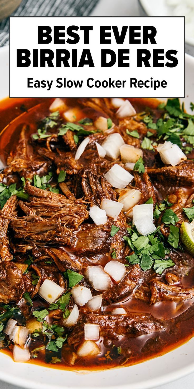Best Birria De Res Recipe