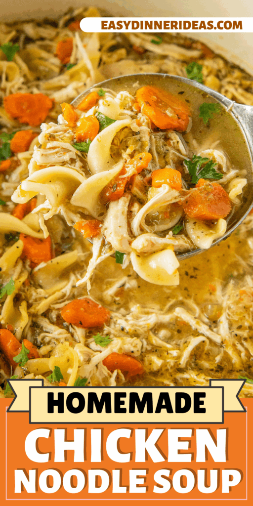 chicken noodle soup with veggies