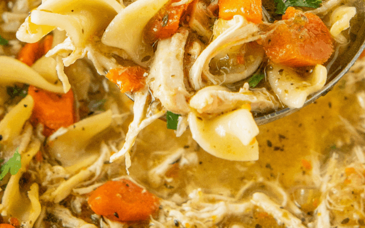 chicken noodle soup with veggies