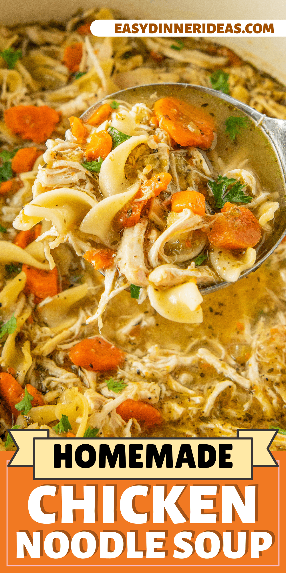 Chicken Noodle Soup With Veggies