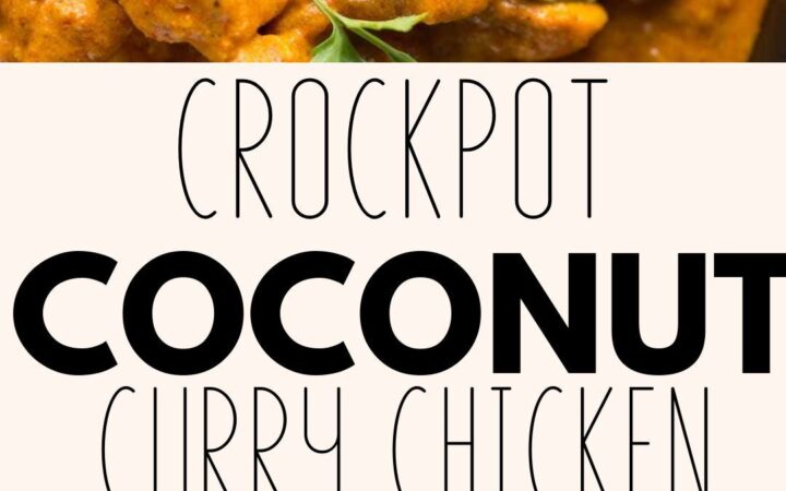 crockpot recipes slow cooker
