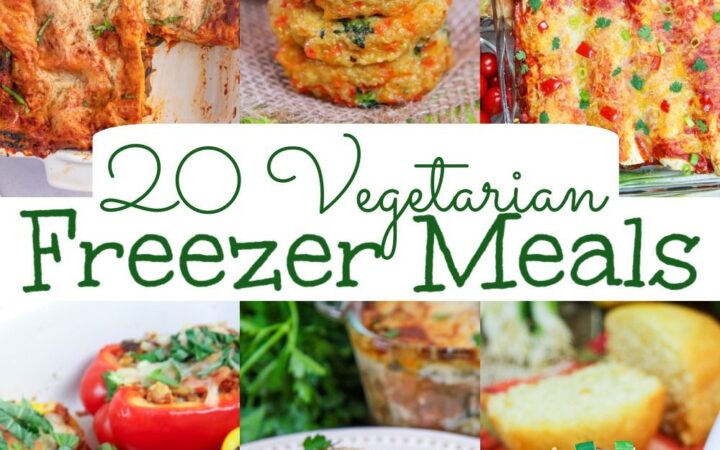 best vegetarian freezer meals