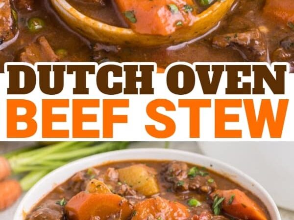 dutch oven beef stew stove top