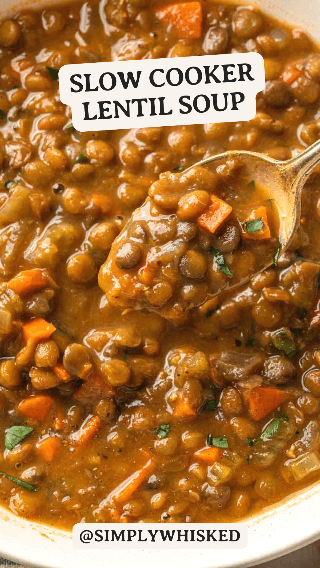 Crockpot Lentil Soup Slow Cooker