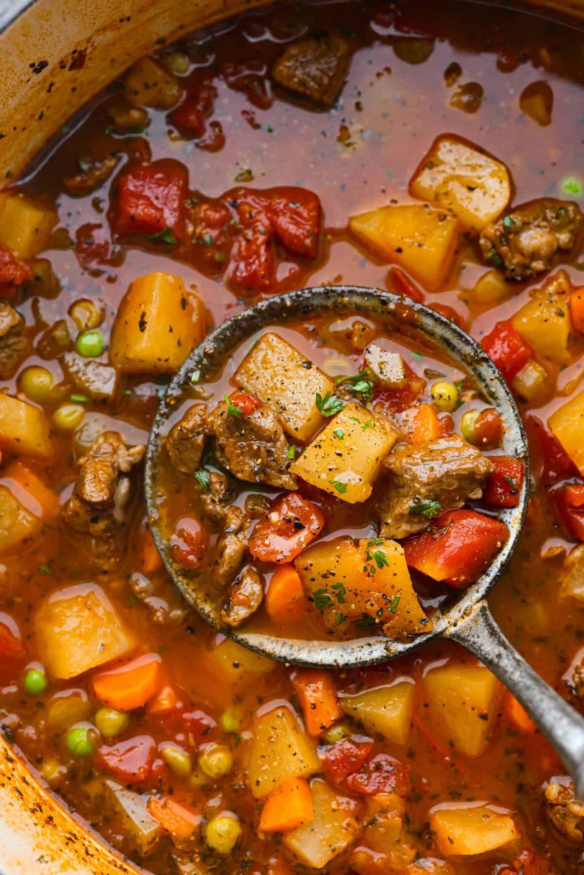 Vegetable Soup Stew Meat