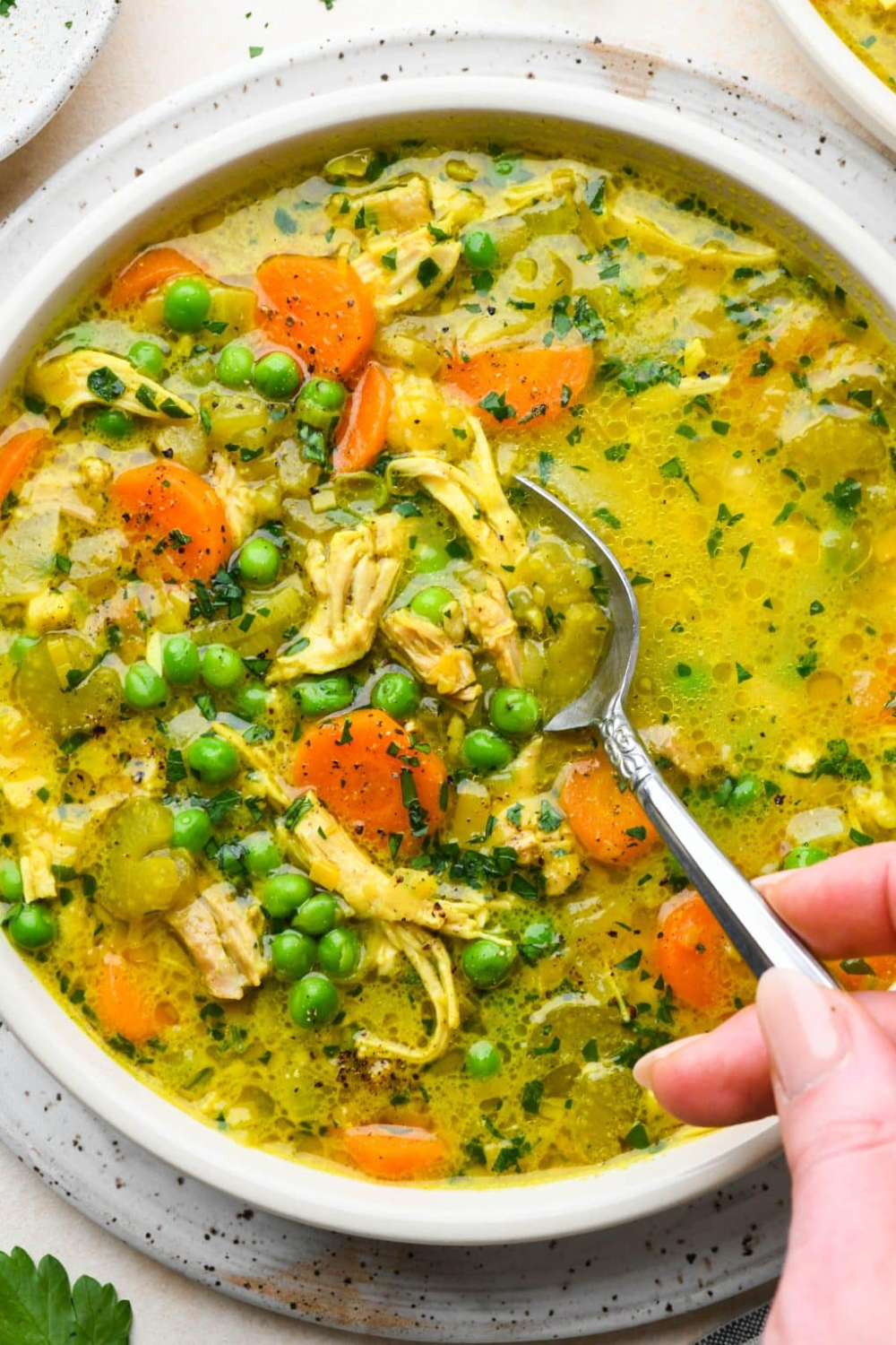 Hearty Lentil & Vegetable Soup
