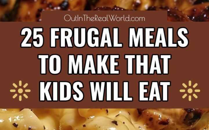 cheap crockpot meals for large families